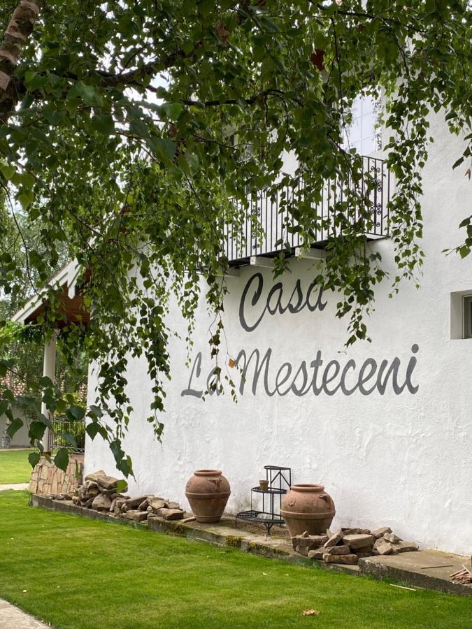 Country Club La Mesteceni Sebes  Bagian luar foto