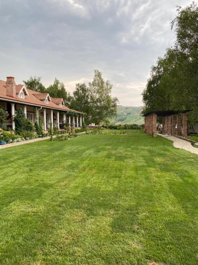 Country Club La Mesteceni Sebes  Bagian luar foto