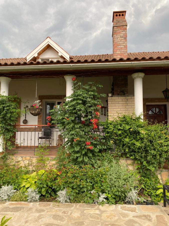 Country Club La Mesteceni Sebes  Bagian luar foto