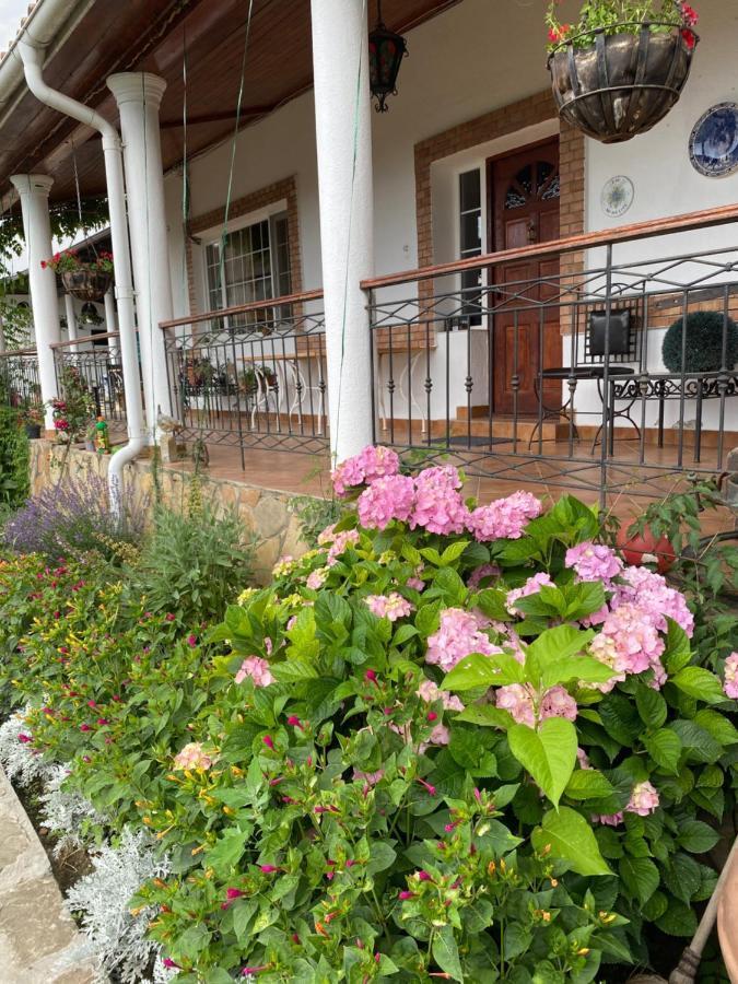Country Club La Mesteceni Sebes  Bagian luar foto